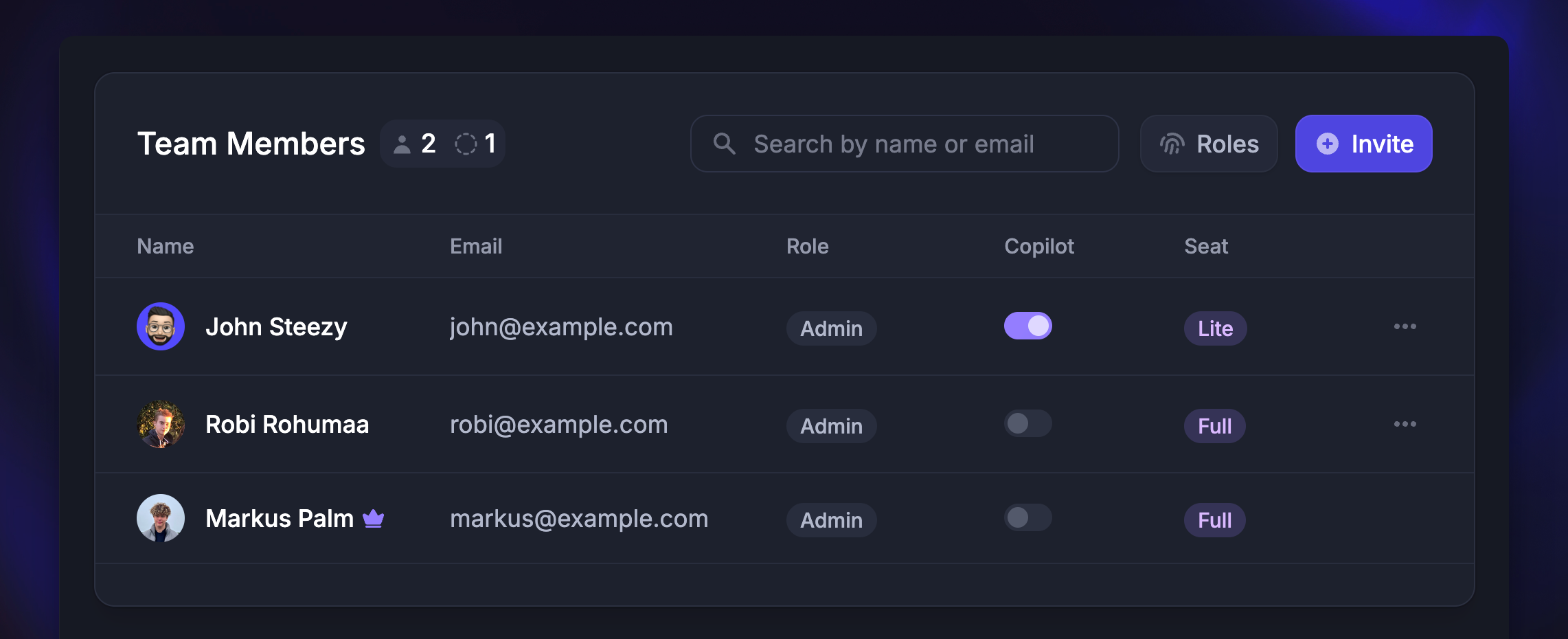 Teammembers settings page with full and lite seats.