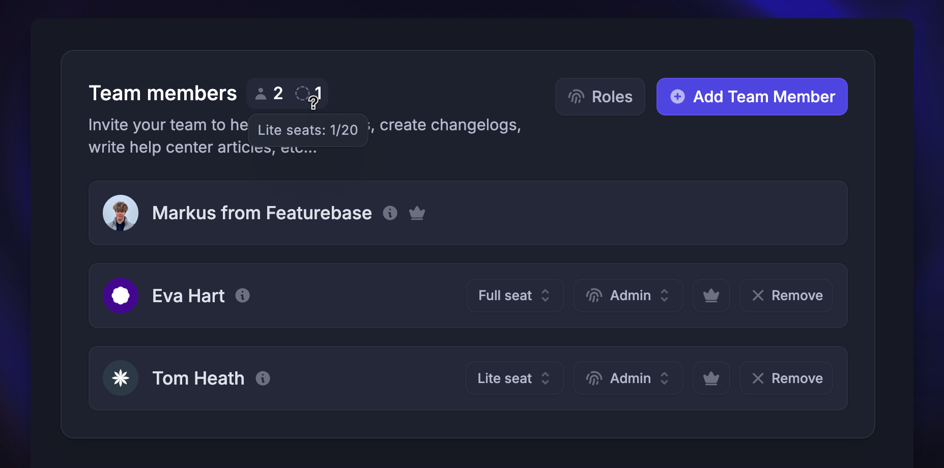 Teammembers settings page with full and lite seats.