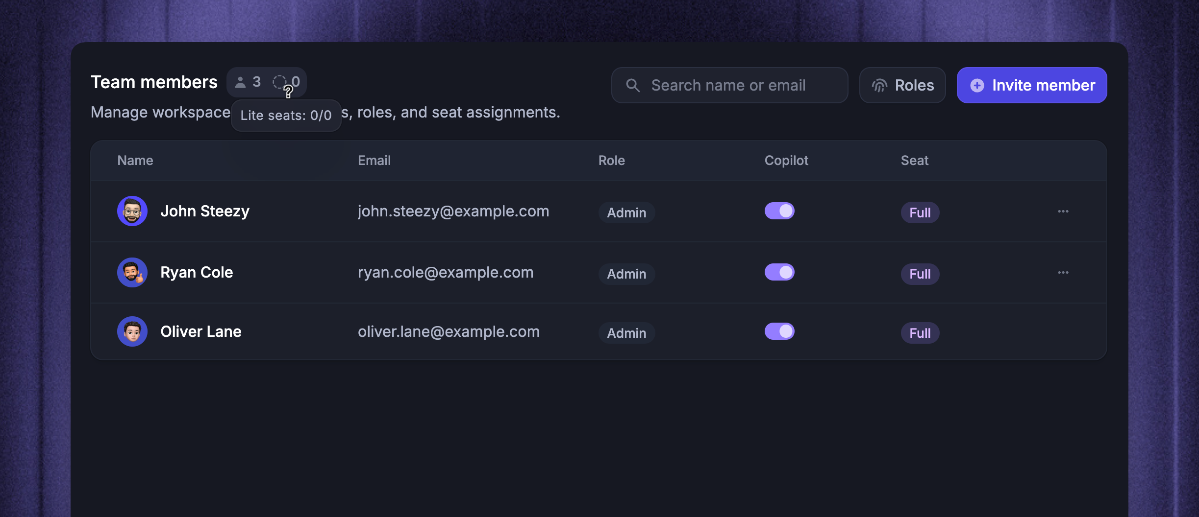 Teammembers settings page with full and lite seats.